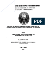 chuquihuaccha_lb.pdf