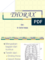 Dindingthoraxl Bs.3