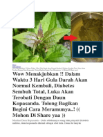 Obat Tradisional