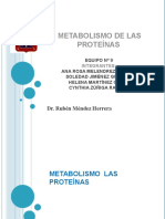 expo_de_tema_9_metabolismo