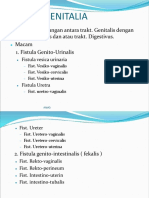 Fistula Genitalia.ppt