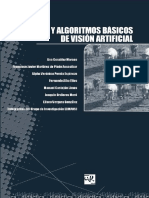 VisionArtificial.pdf