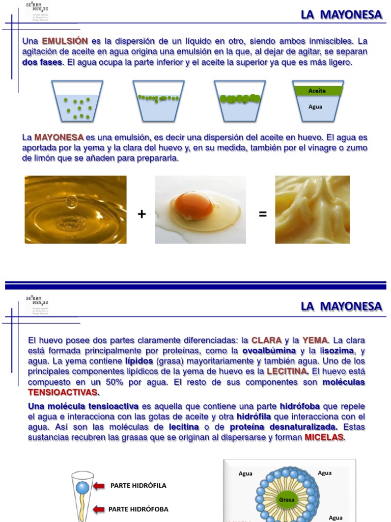 Componentes y emulsión de mayonesa | PDF | Emulsión | Mayonesa