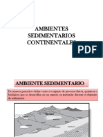 9 Ambientes Sedimentarios I