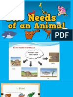 Science Basic Needs of Animals