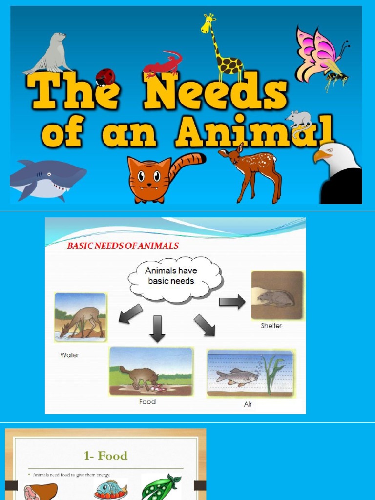 science basic needs of animals