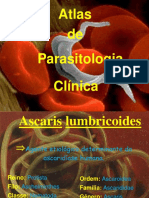 AtlasdeparasitologiaclnicaII.pdf