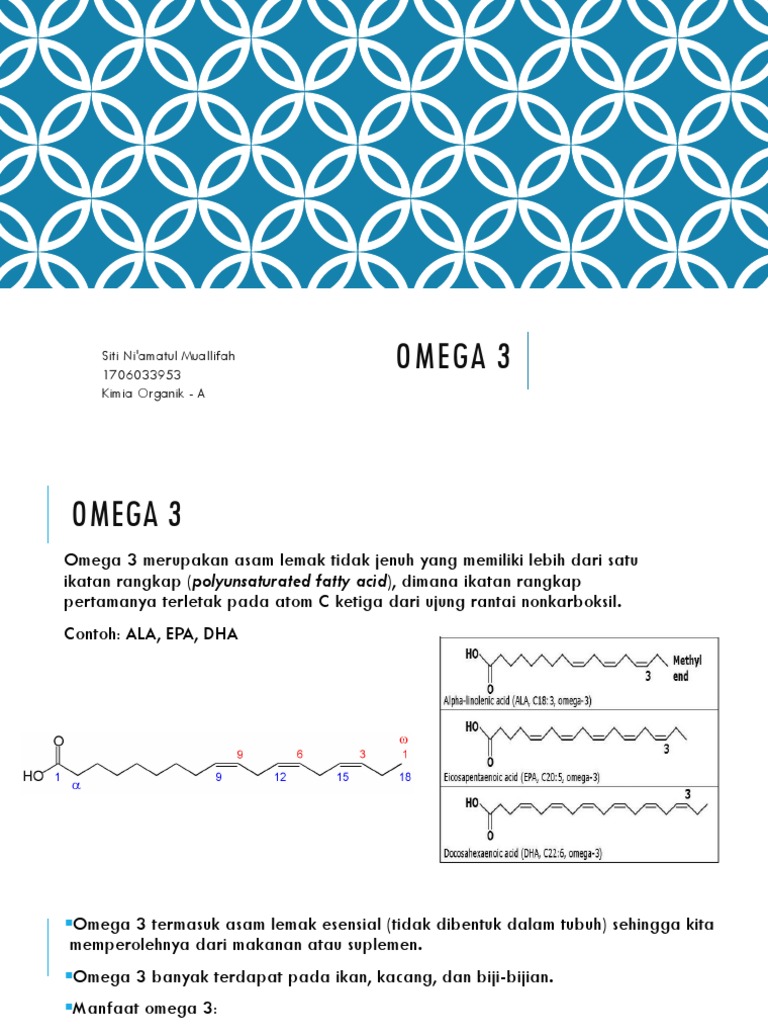 Omega 3 PDF
