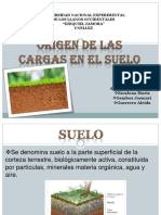 Edafologia Suelos y Arcillas