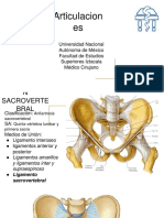 ANATOMÍA DE LA CINTURA PÉLVICA Fisioterapia Osteopatía Barcelona - CENTRO  MÉDICO TERAPÉUTICO