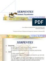 Serpentes Peçonhentas: Identificação e Primeiros Socorros