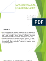 Transesophageal Echocardiography: Bella Cindy Delila Ilyas Ismail Shaleh Erni Vuspita Dewi