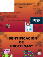 Proteínas Equipo 1 258a