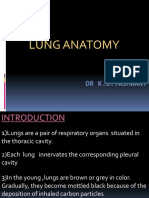 Lung Anatomy Explained: Structure, Lobes, Root & Supply