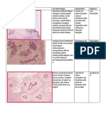 Gambaran Mikroskop PA PDF