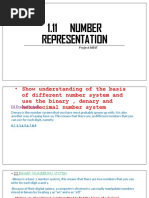 Number Representation