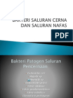 Bakteri Saluran Cerna Dan Saluran Nafas