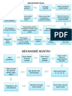 Mekanisme Mual Muntah