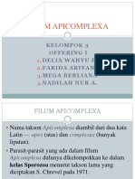 Filum Apicomplexa by Kel. 3