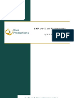 Kiva Productions - SAP and Data Warehousing