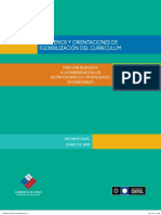 Criterios_Orientaciones_Flexibilizacion_Curricular-2009.pdf