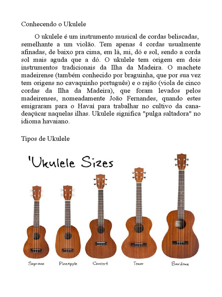 Aula Ukulele Instrumentos de Corda Teoria da Música