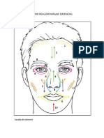 Como Realizar Masaje Orofacial PDF