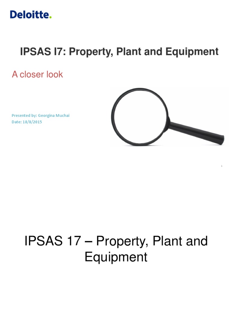 Define Ipsas 17