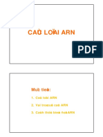 Types of RNA and Their Functions