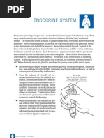 Endocrine System: One of Us, and I'm Not Certain Which, Has A Glandular Disorder