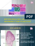Histologia Del Aparato Re Product Or Femenino