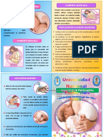 DIPTICO de Lactancia Materna