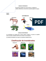 Animales Vertebrados