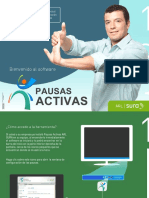 Instructivo Pausas PDF