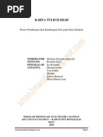 Contoh Karya Ilmiah Boraks Dan Formalin Pada Makanan