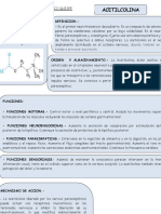 Resumen Acetilcolina