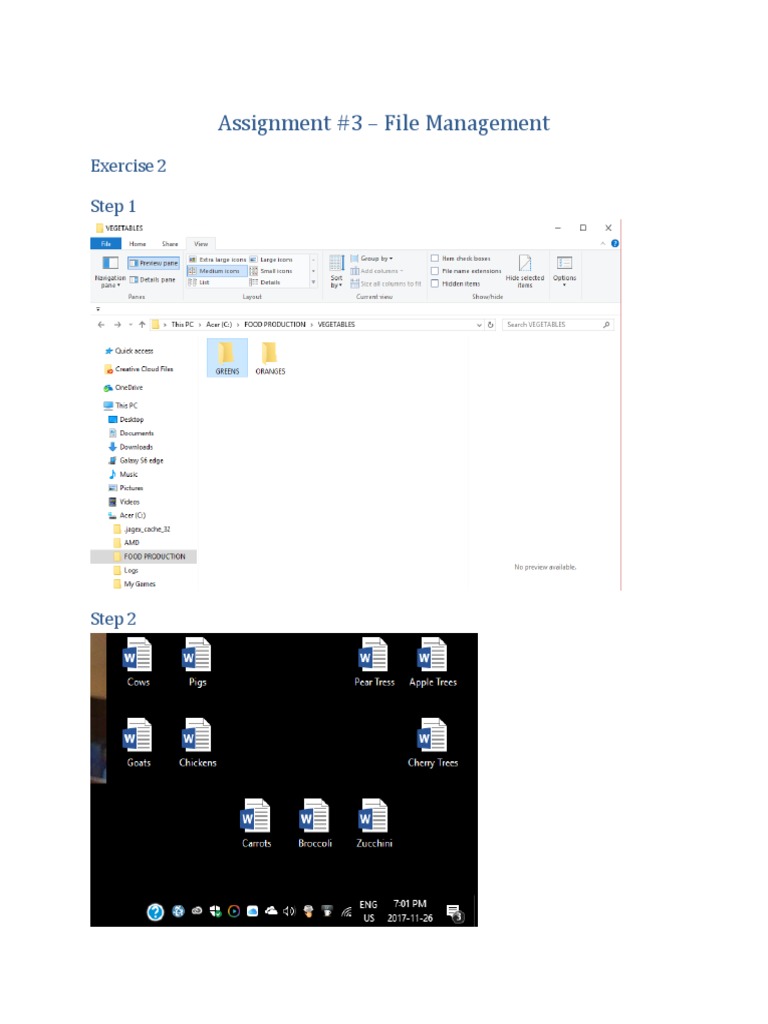 Assignment 3 Exercise 2 Fileman | PDF