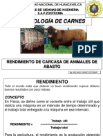 Rendimiento carnes