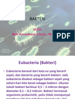 Bakteri