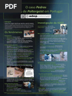 O caso Pedras - um caso de Poltergeist em Portugal