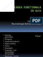 BFKT_guta_CAncuta2013.pdf