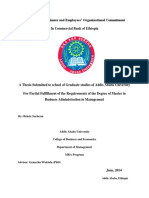 Bekele Serbessa Thesis