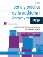 Teoría y práctica de la auditoría I concepto y metodología (6a. -2.pdf