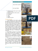 practica  de laboratorio de campo electrico.pdf