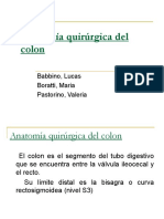 anatomaquirrgicadecolon-130311224823-phpapp01.pdf