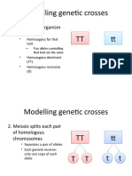 Modelling Genetic Crosses