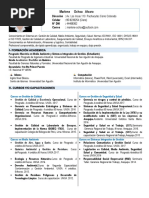 C.vitae Marlene Ochoa Alvaro