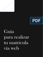 Guia Matricula.pdf