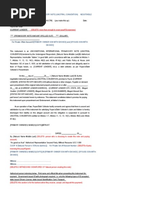 Negotiable International Promissory Note