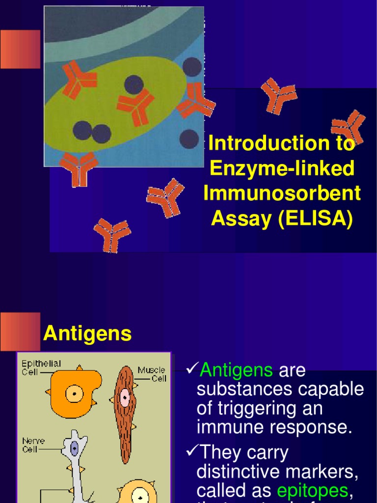 Introduction To Enzyme-Linked Immunosorbent Assay (ELISA) | PDF | Elisa ...